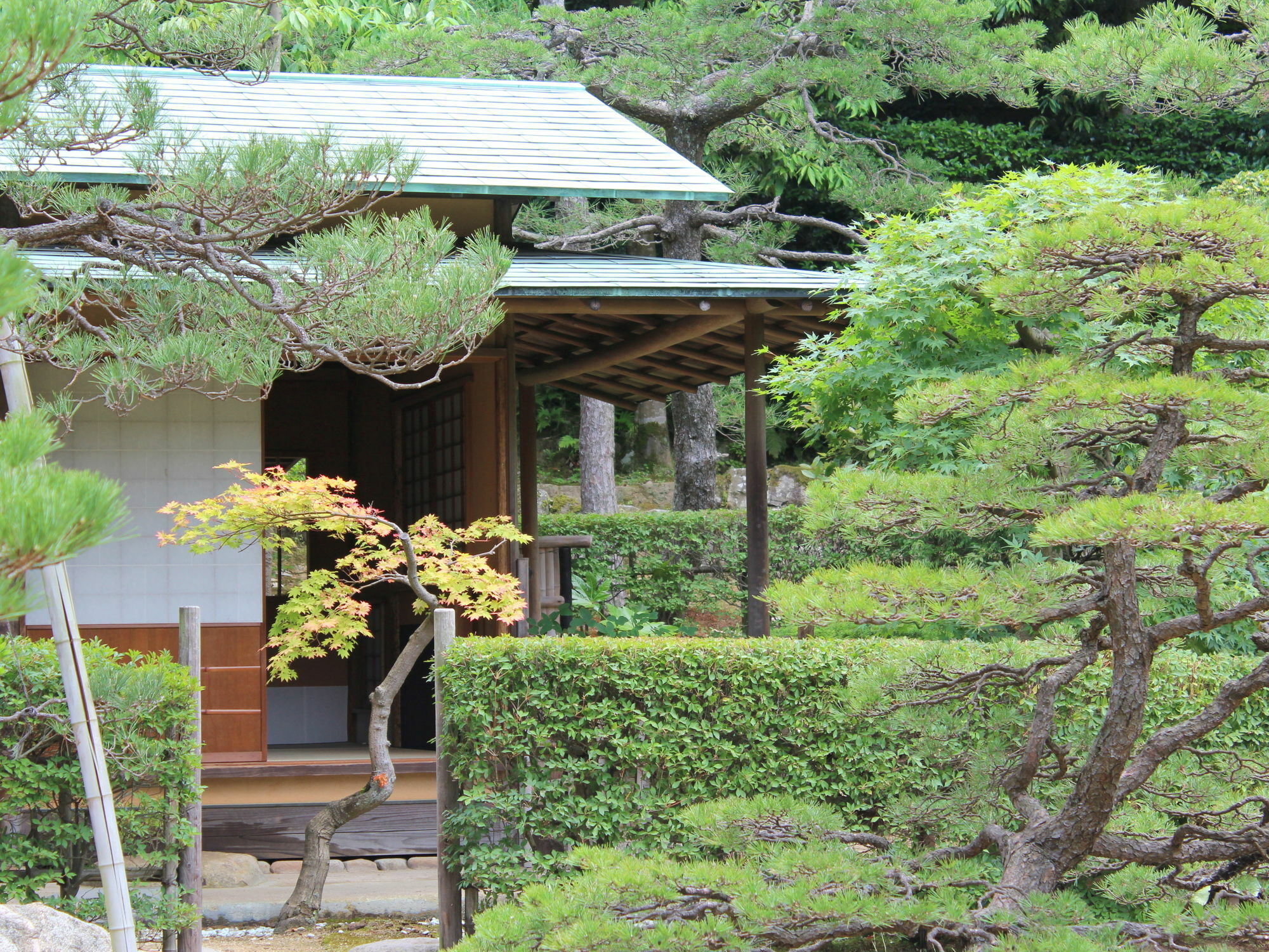 Hotel Gyokusen Мацуэ Экстерьер фото
